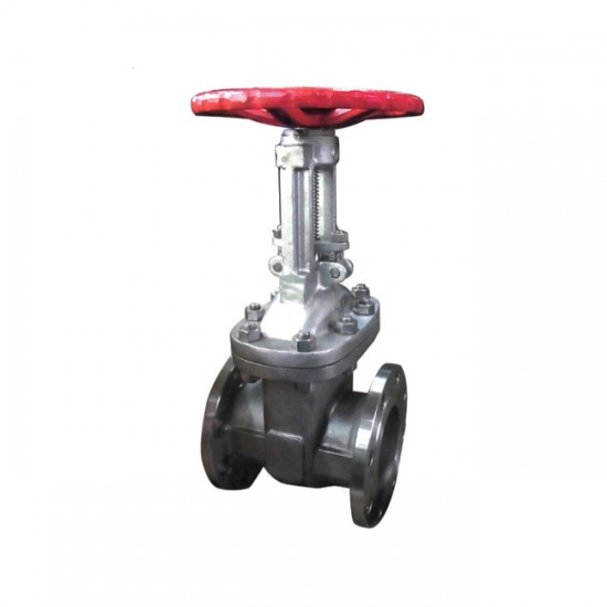 Yamato S10GOH Cast Stainless Steel Gate Valve